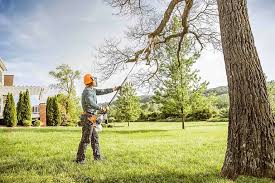 Best Tree Maintenance Programs  in North Great River, NY