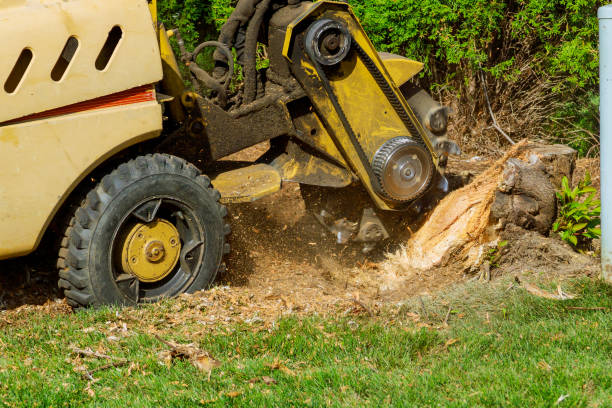 Best Firewood Processing and Delivery  in North Great River, NY